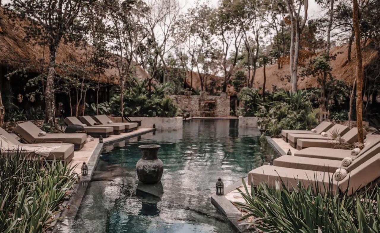 Vida Jungle Apart 1 With Special Fee To Access Hotel Bardo Tulum Dış mekan fotoğraf